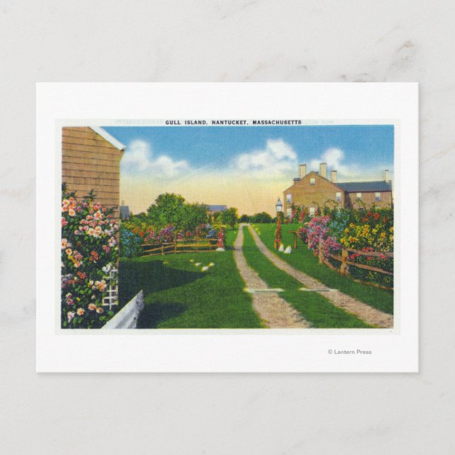 Carte Postale Vue pittoresque sur l'île de Gull (Devant)