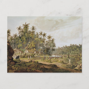 Carte Postale Vue proche de Point du Galle, Ceylan