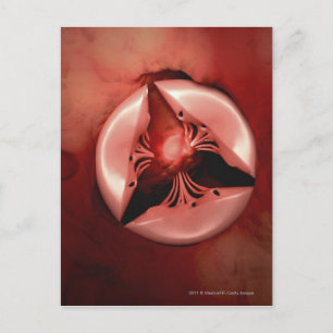 Carte Postale Vue rapprochée de la valve tricuspide dans le coeu