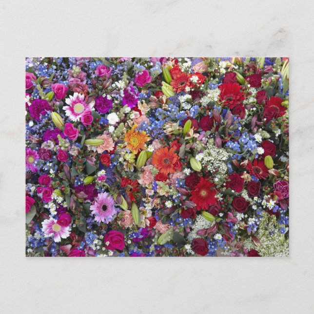 Carte Postale Vue rapprochée des bouquets de fleurs coupées prêt (Devant)