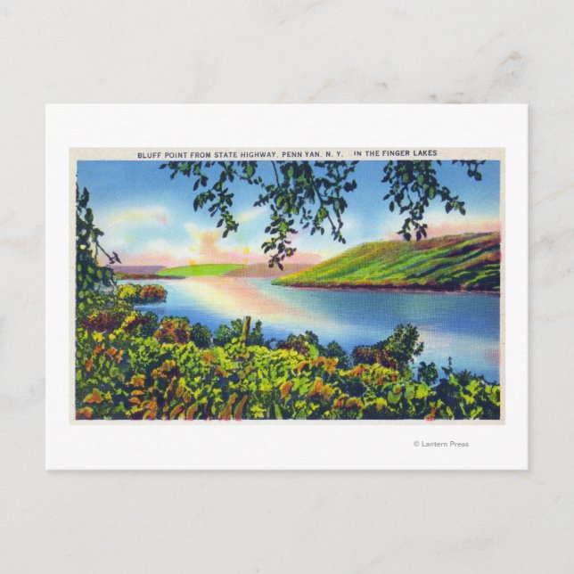 Carte Postale Vue routière d'état de Bluff Point (Devant)