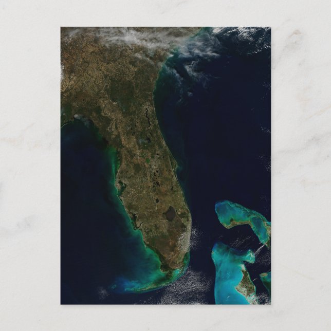 Carte Postale Vue satellite de Floride. (Devant)