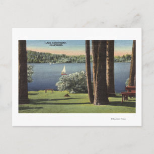 Carte Postale Vue sur Grassy Shore & Lake