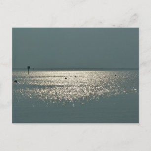 Carte Postale Vue sur la baie de Chesapeake