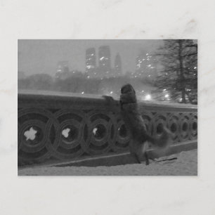 Carte Postale Vue sur la neige depuis Bow Bridge