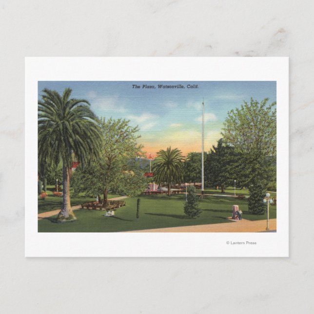 Carte Postale Vue sur la Plaza (Devant)