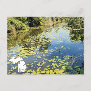 Carte Postale Vue sur la rivière du Metropark Lake Erie avec log