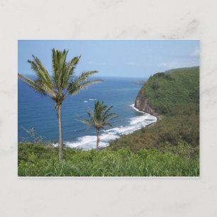 Carte postale Vue sur la vallée de Pololu