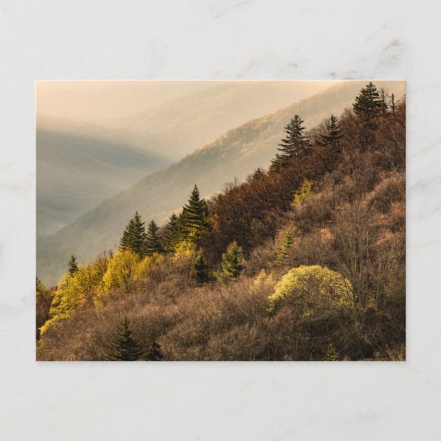 Carte Postale Vue sur la vallée Oconaluftee | Caroline du Nord (Devant)