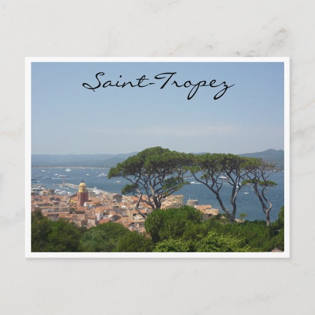 Carte Postale vue sur l'arbre saint tropez (Devant)