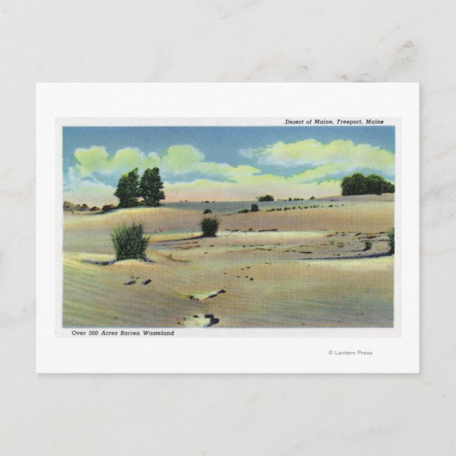 Carte Postale Vue sur le désert du Maine (Devant)