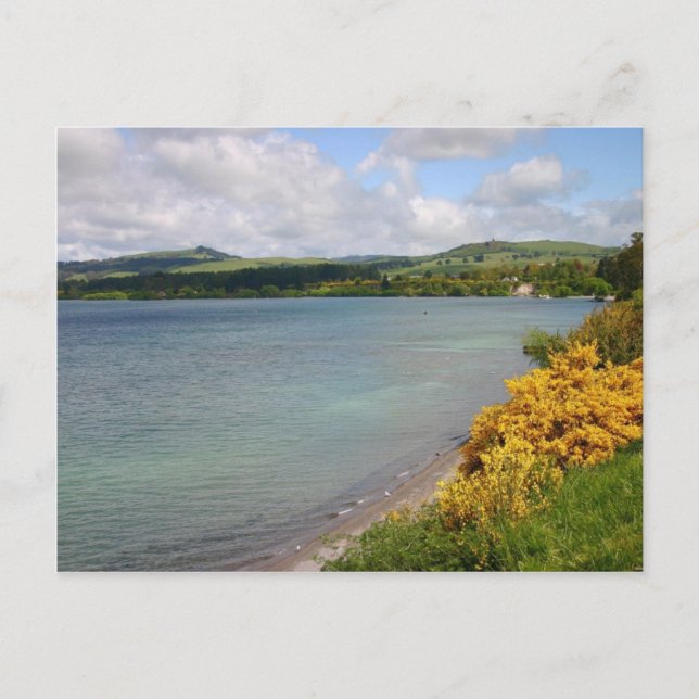 Carte Postale Vue sur le lac (Devant)