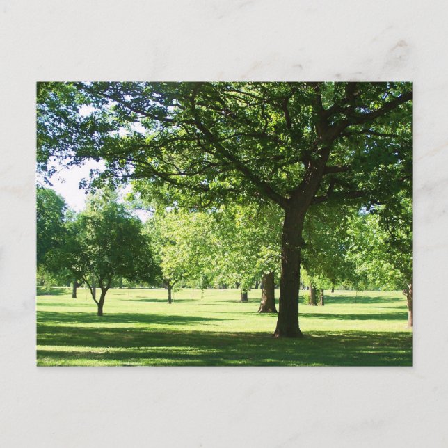 Carte Postale vue sur le parc (Devant)