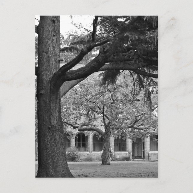 Carte Postale Vue sur le parc (Devant)