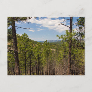 Carte Postale Vue sur le terrain, Parc d'état de Custer, SD