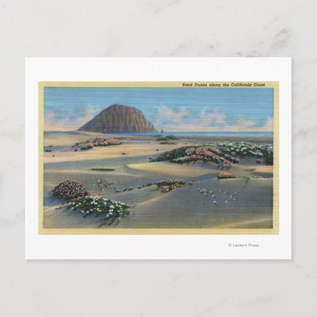 Carte Postale Vue sur les dunes de sable le long de la côte (Devant)