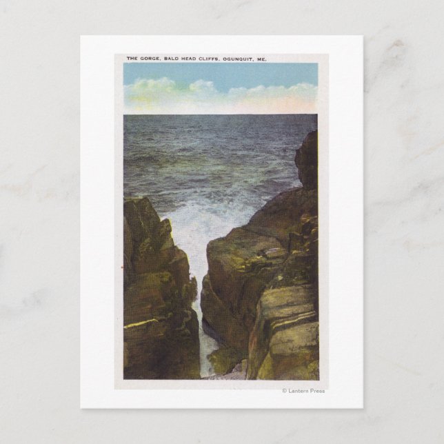 Carte Postale Vue sur les falaises de Bald Head, la gorge (Devant)