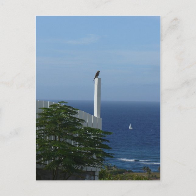 Carte Postale Vue sur l'île (Devant)