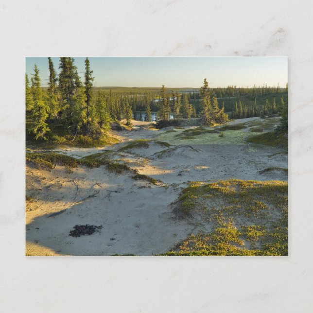 Carte Postale Vue sur un lac et les collines de sable environnan (Devant)