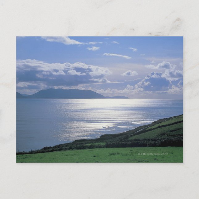 Carte Postale vue sur une pente herbeuse au bord de la mer (Devant)