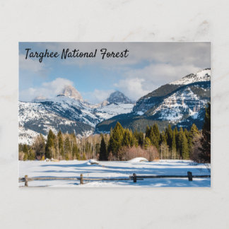 Carte Postale Vue Teton de la forêt nationale de Targhee