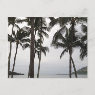 Carte Postale Vue tropicale à Kauai