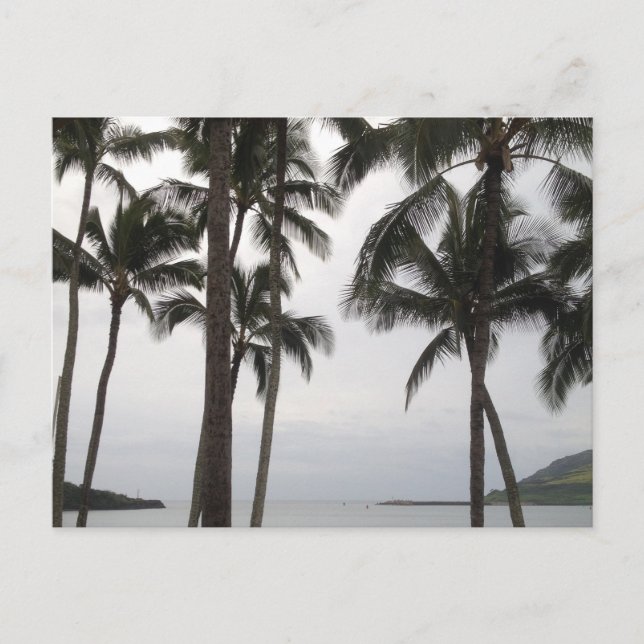 Carte Postale Vue tropicale à Kauai (Devant)