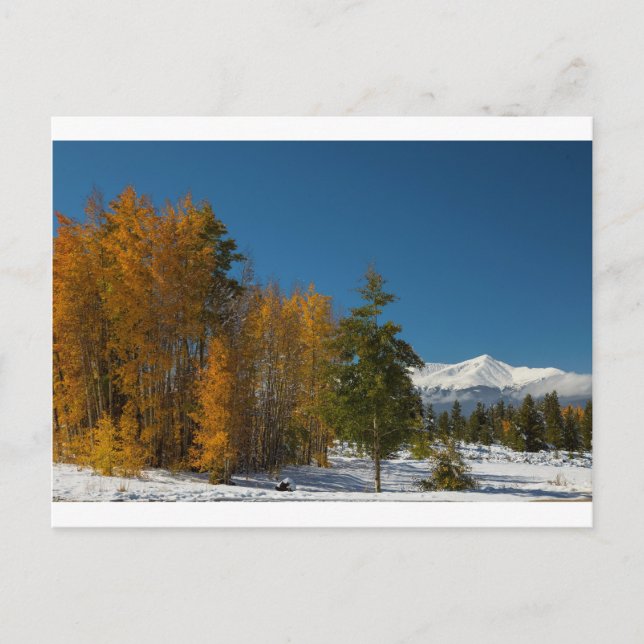 Carte Postale Vues d'automne de Leadville (Devant)