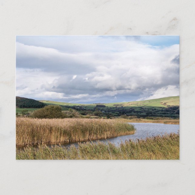 CARTE POSTALE VUES DES ALLES (Devant)