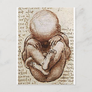 Carte Postale Vues d'un foetus dans le détail Womb
