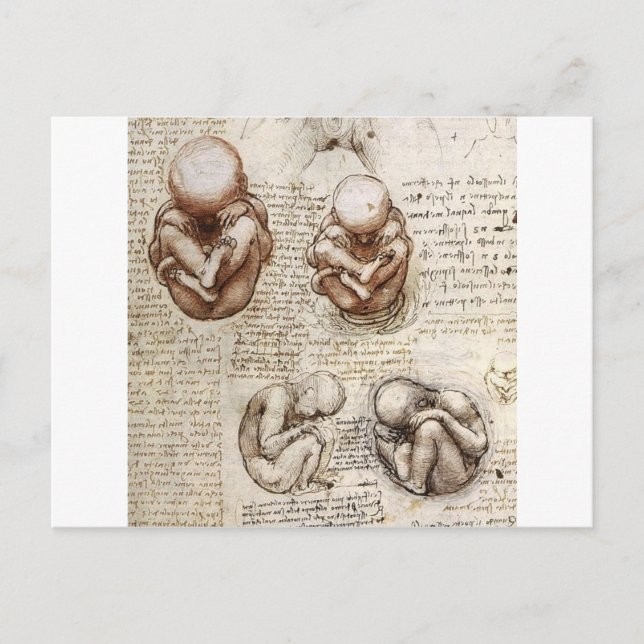 Carte Postale Vues d'un foetus dans le ventre (Devant)