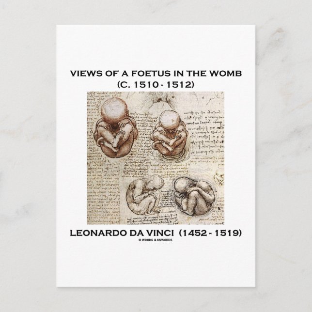 Carte Postale Vues D'Un Foetus Dans L'utérus (Léonard De Vinci) (Devant)