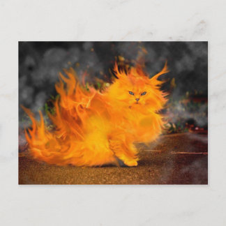 Carte Postale vuur kat