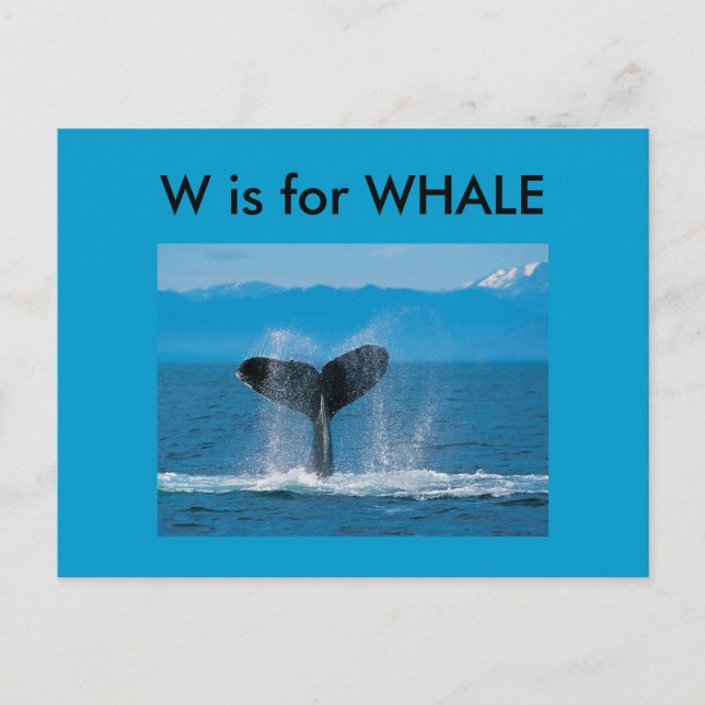 Carte Postale "W" est pour Whale Alphabet Flashcard (Devant)