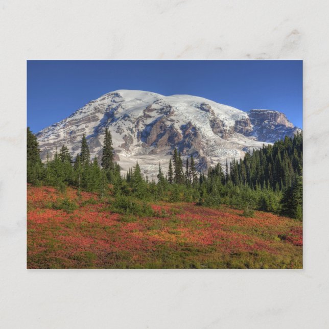 Carte Postale WA, Mt. Rainier National Park, Paradise Valley (Devant)