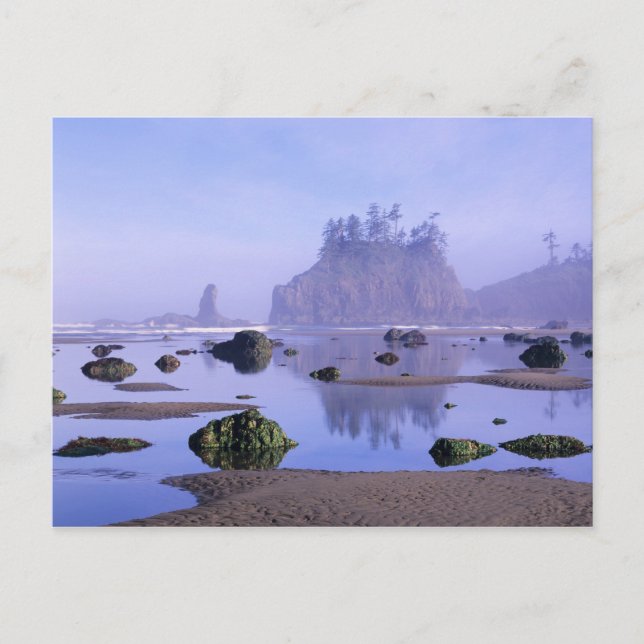 Carte Postale WA, parc national Olympique, deuxième plage, (Devant)
