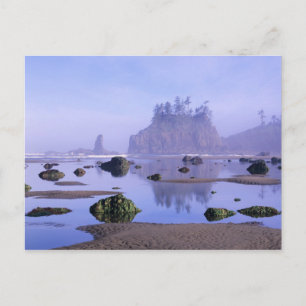 Carte Postale WA, Parc national olympique, Second Beach,
