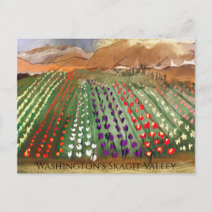 Carte Postale WA Skagit Valley Tulip Fields