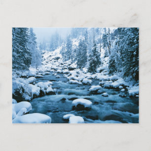 Carte Postale WA, Wenatchee National Forest, Cascade
