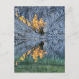 Carte Postale WA, zone sauvage Alpine Lakes, Enchantment 3