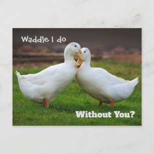 Carte Postale Waddle I Do Funny Ducks