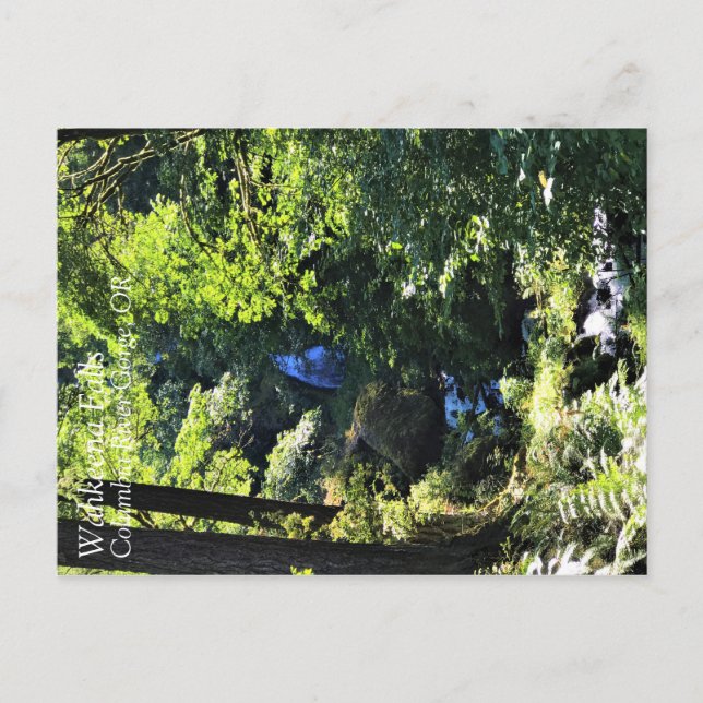 Carte Postale Wahkeena Falls (Devant)