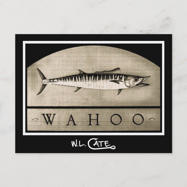 Carte Postale Wahoo Vintage noir et blanc (Devant)