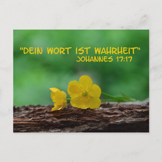 Carte Postale Wahrheit .... (Devant)