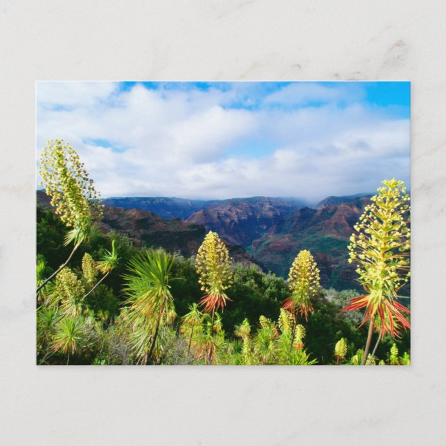Carte Postale Waimea Canyon | Kauai, Hawaii (Devant)