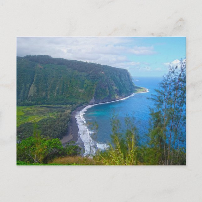 Carte Postale Waipio Valley Lookout, Big Island, Hawaii Postcard (Devant)