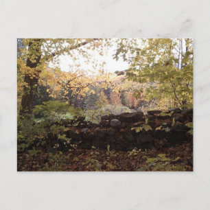 Carte Postale Waitsfield VT Stone Wall oct 2010