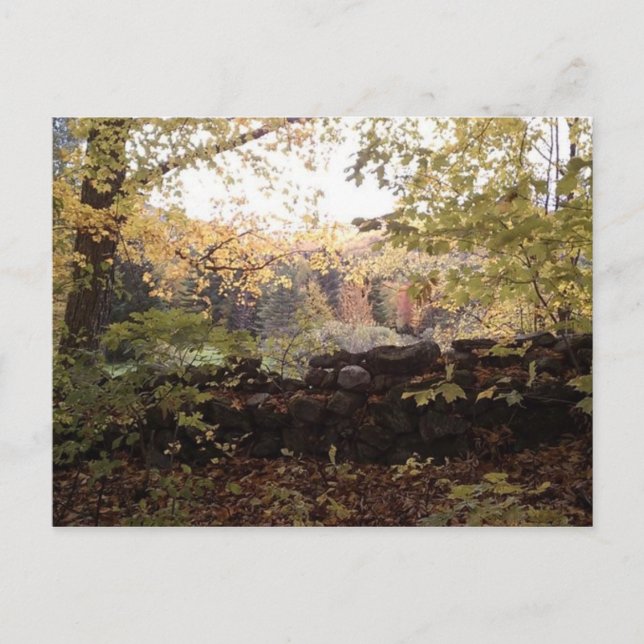 Carte Postale Waitsfield VT Stone Wall oct 2010 (Devant)