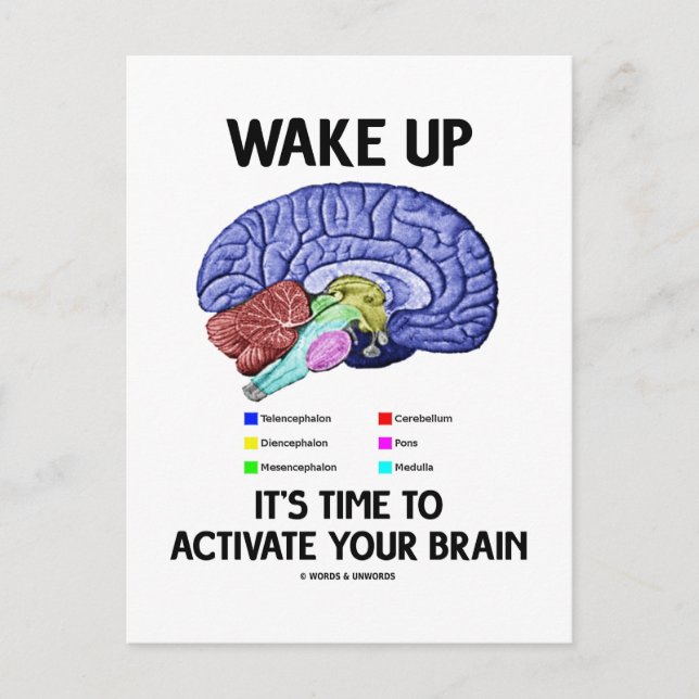 Carte Postale Wake Up It's Time To Activate Your Brain (Devant)