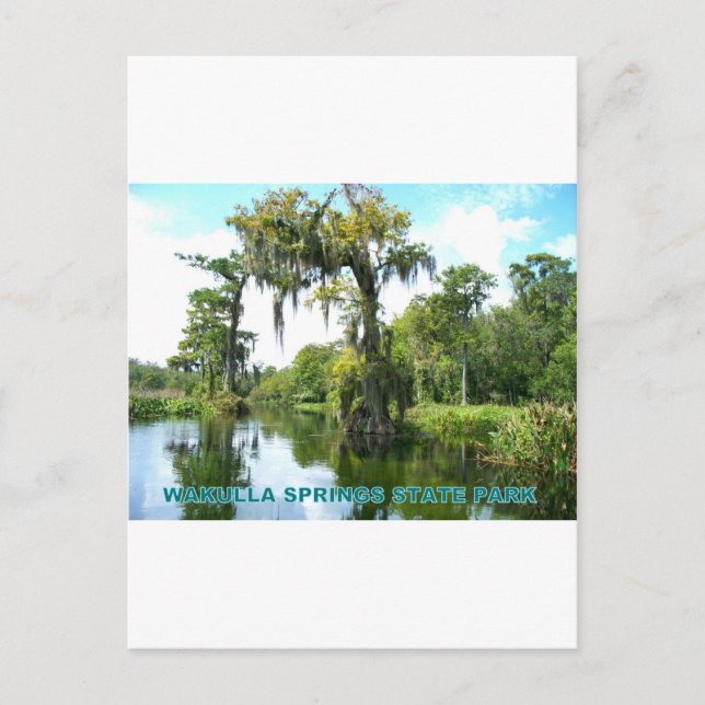CARTE POSTALE WAKULLA SPRINGS STATE PARK - FLORIDE (Devant)